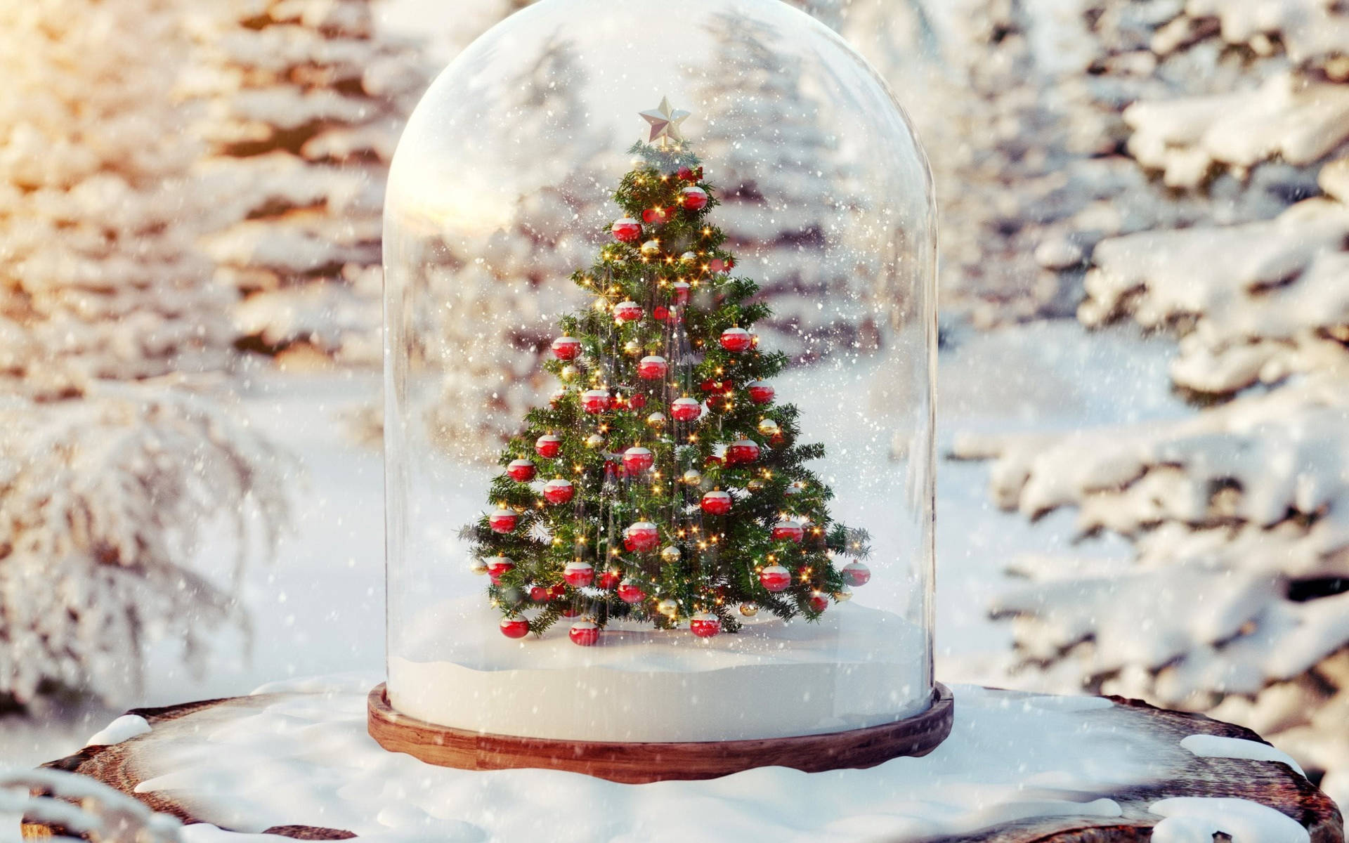Beautiful Christmas Snow Globe Wallpaper