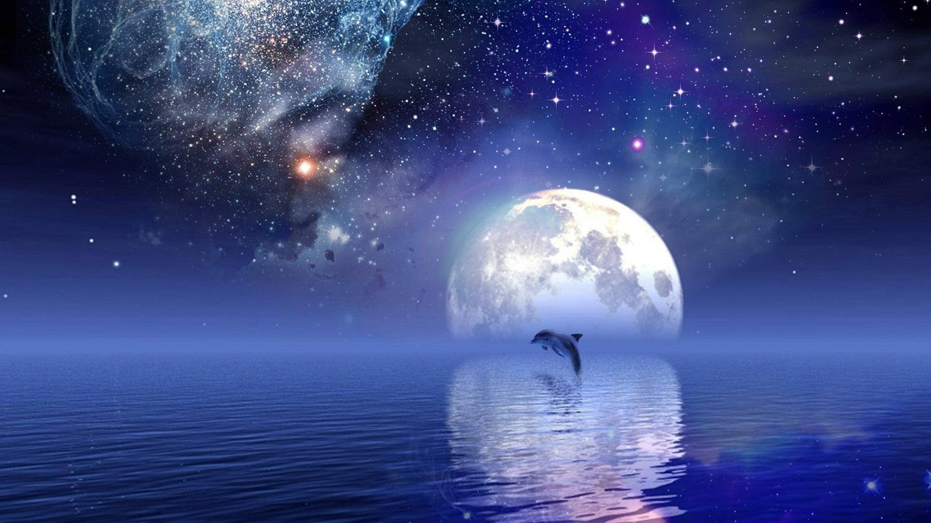 Beautiful Cool Dolphin Jumping Out Of Ocean Wallpaper