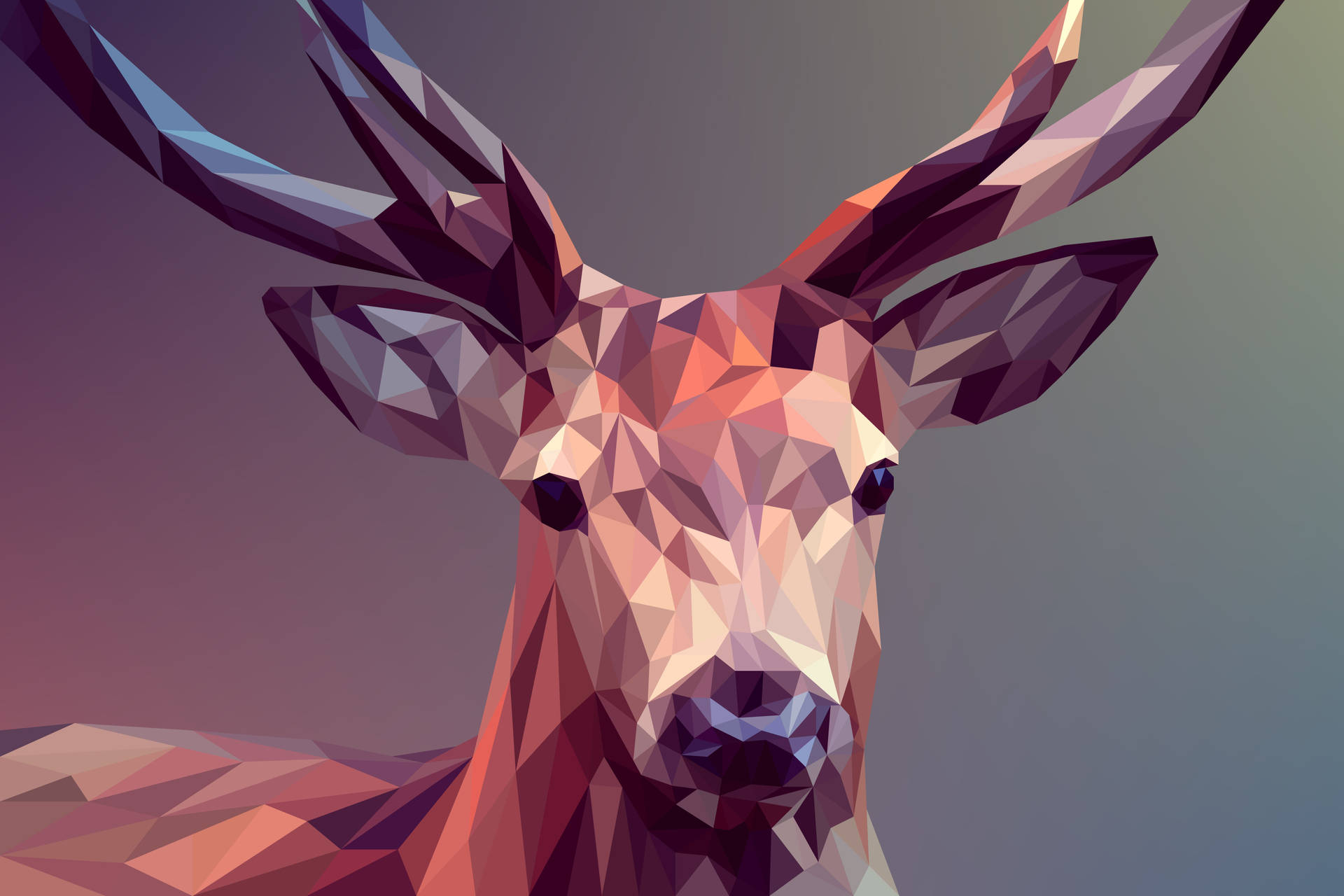 Smukke kølige polygongunst Deer i bjerge Wallpaper