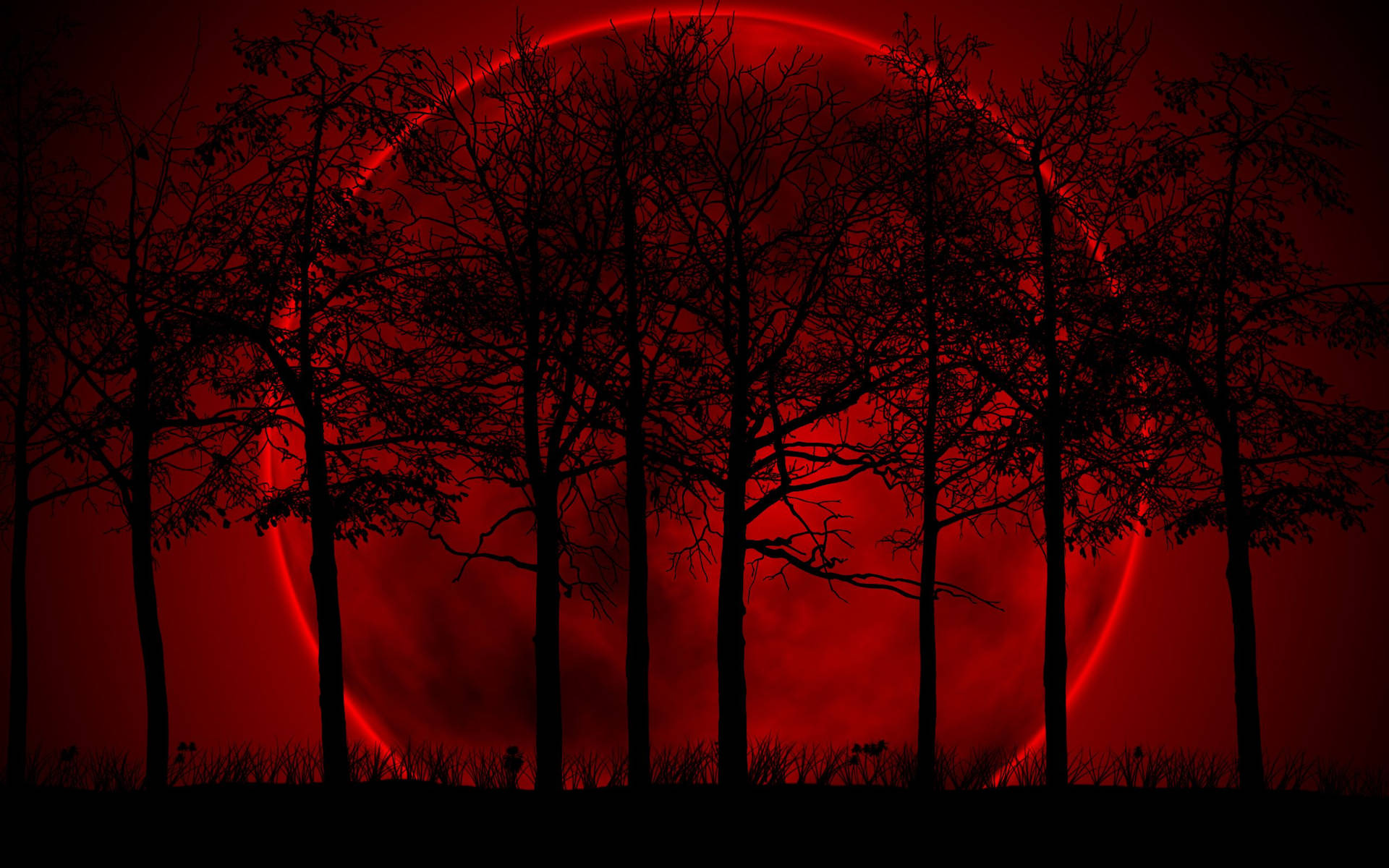 Majestic Nightfall - Beautiful Dark Trees Silhouetted against a Blood Moon Wallpaper