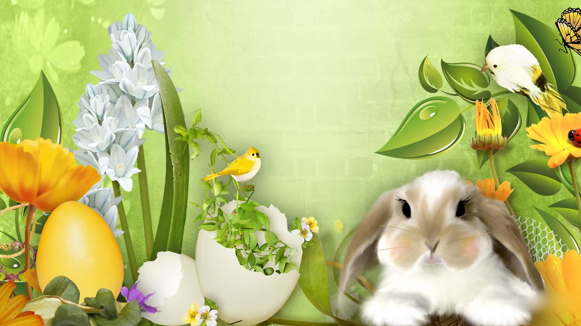 Smukke påske Bunny Egg billede Lace Wallpaper