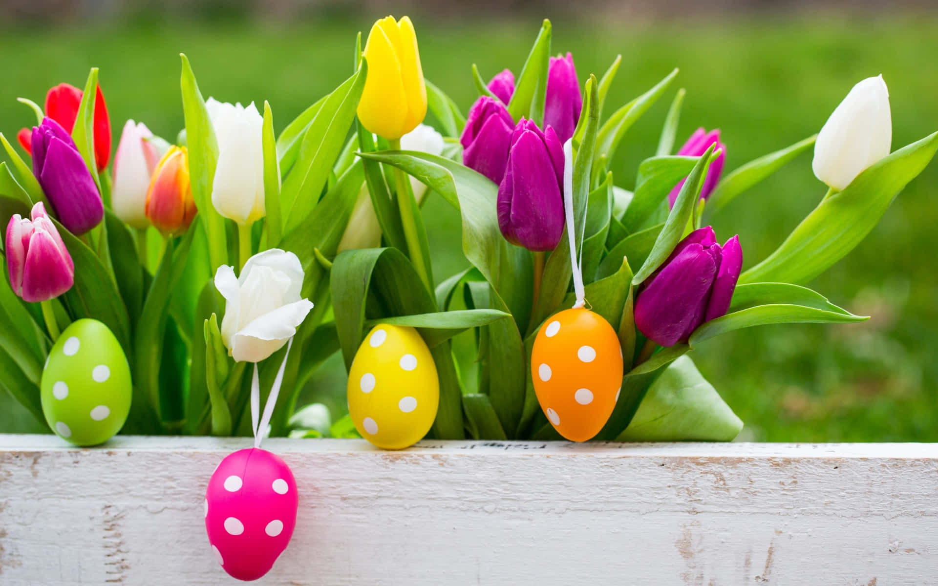 Beautiful Easter Eggs Tulips Picture