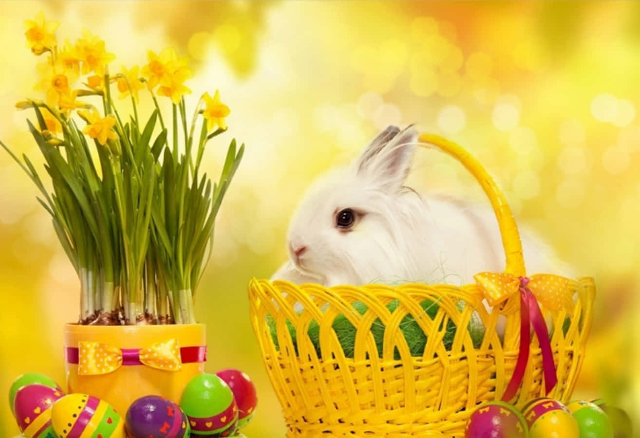 Beautiful Easter Bunny Yellow Picture