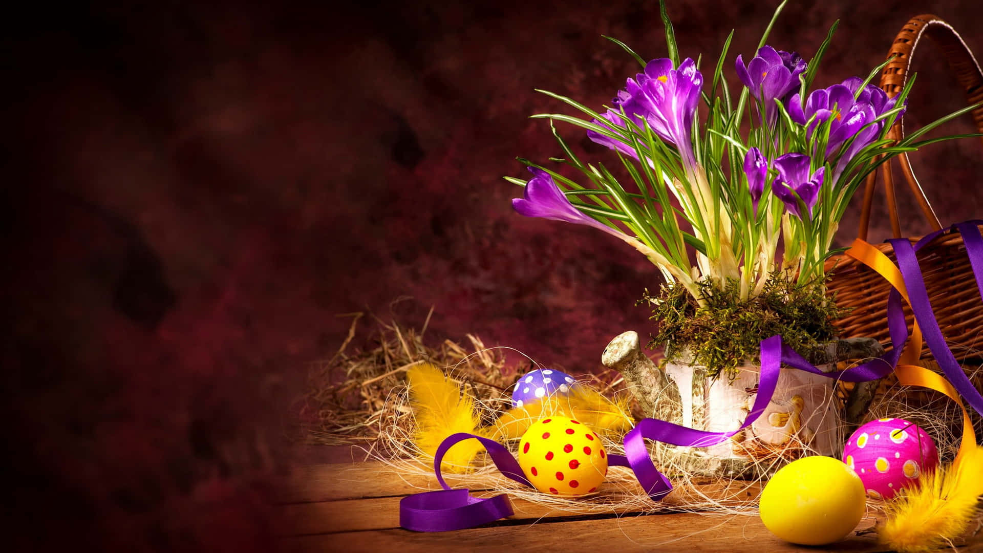 Beautiful Easter Violet Flowers Picture