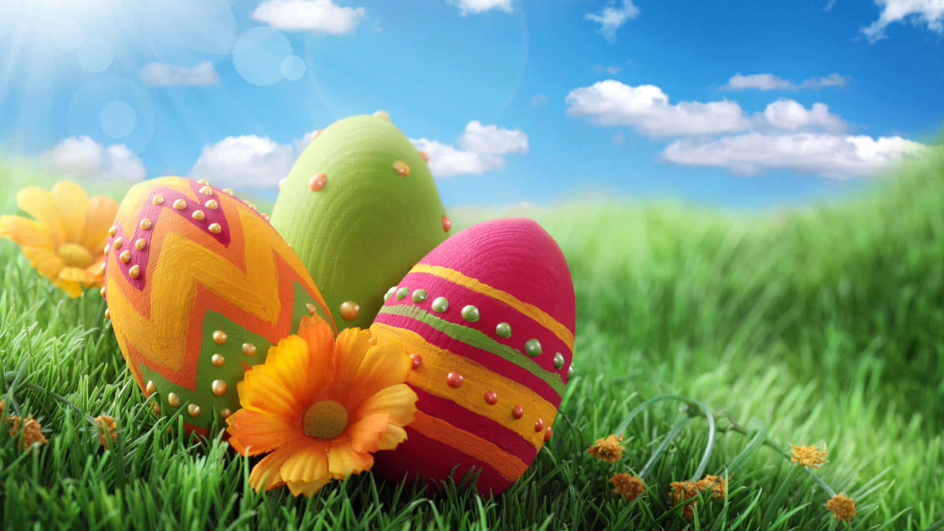 Smukke Easter dekorerede ægBillede Tapet