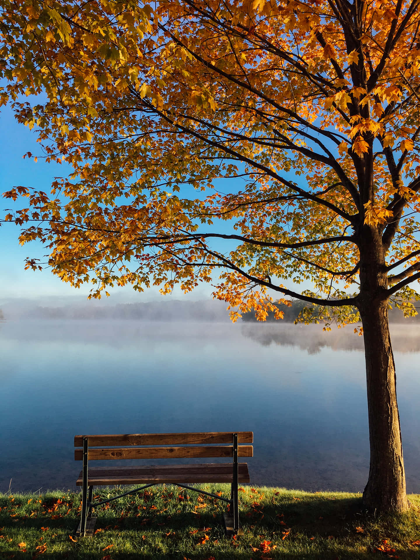 a bench in front of a lake Wallpaper