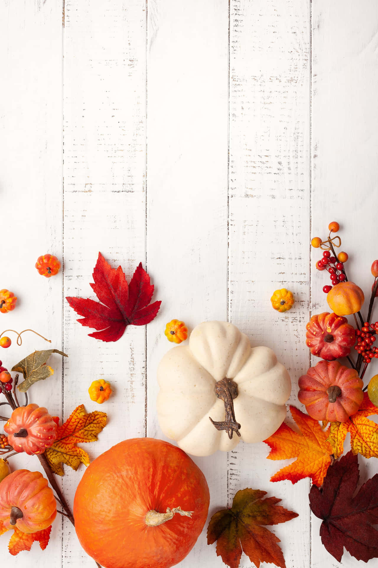 a white wooden table with pumpkins and leaves Wallpaper