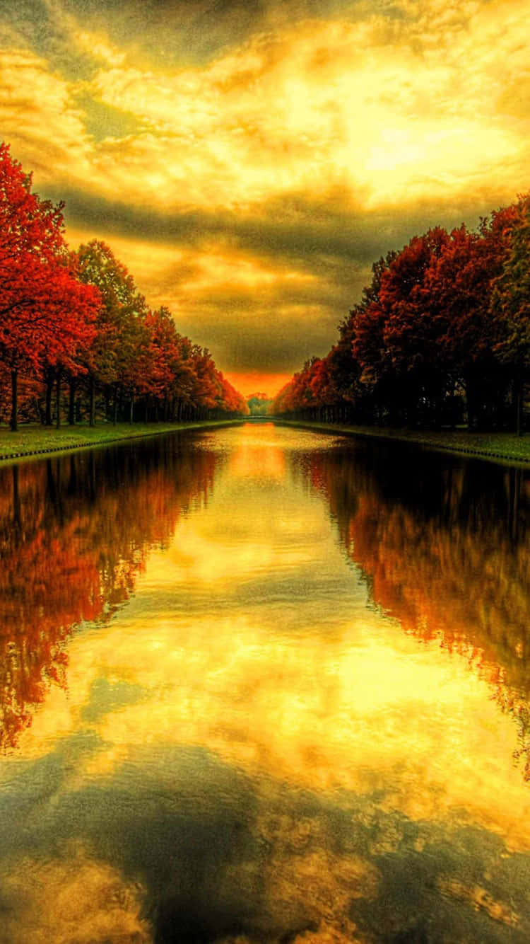 En sø med træer og et solnedgang. Wallpaper