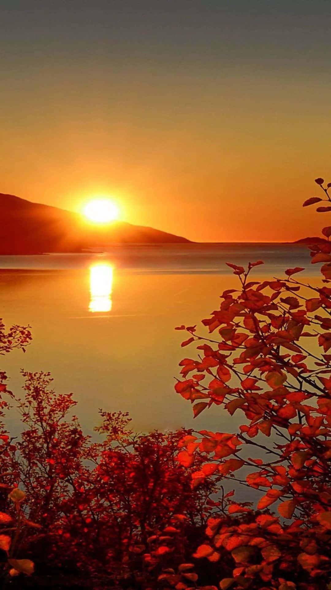 a sunset over a lake with red leaves Wallpaper