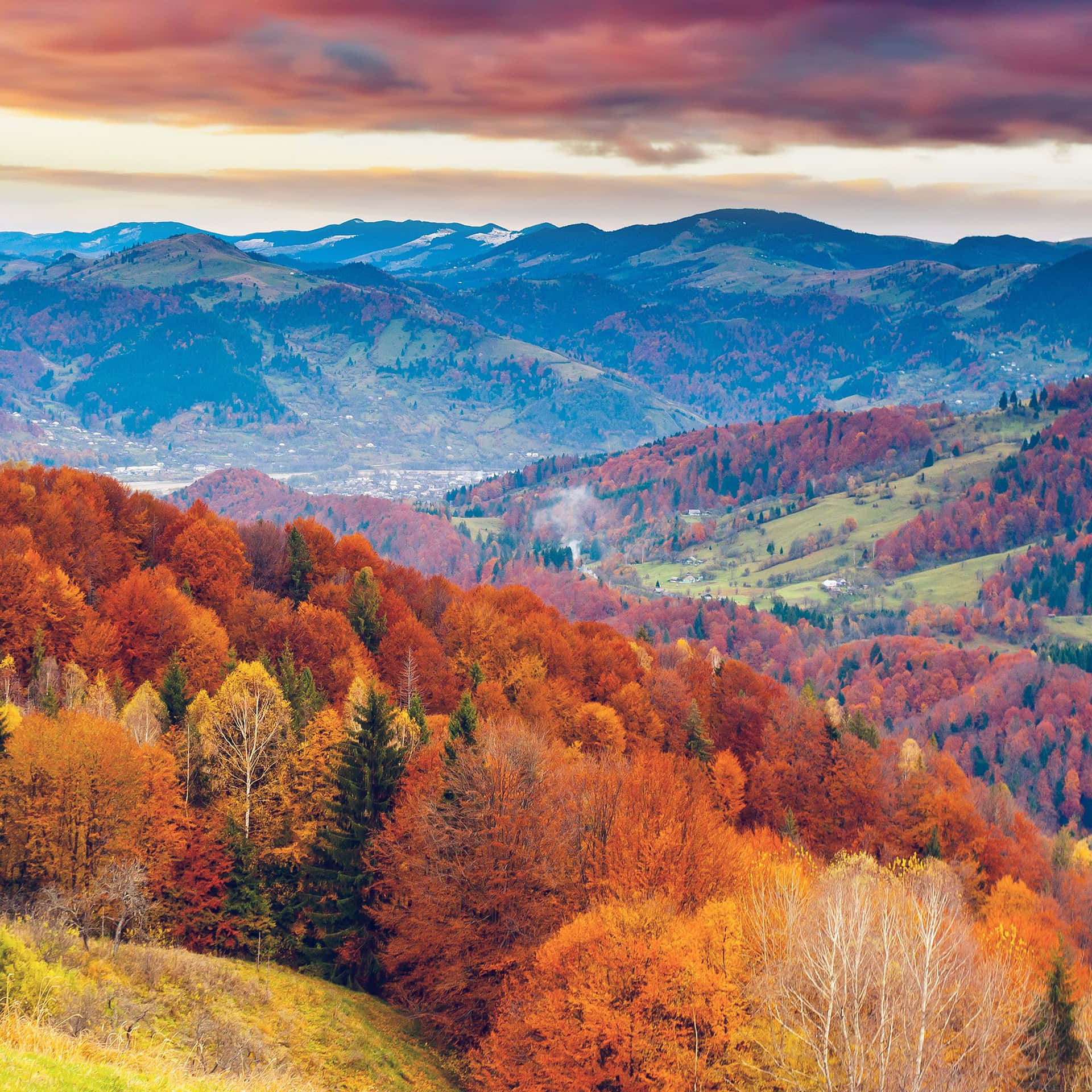 Bellissimaimmagine Di Alberi Montani Durante L'autunno. Sfondo