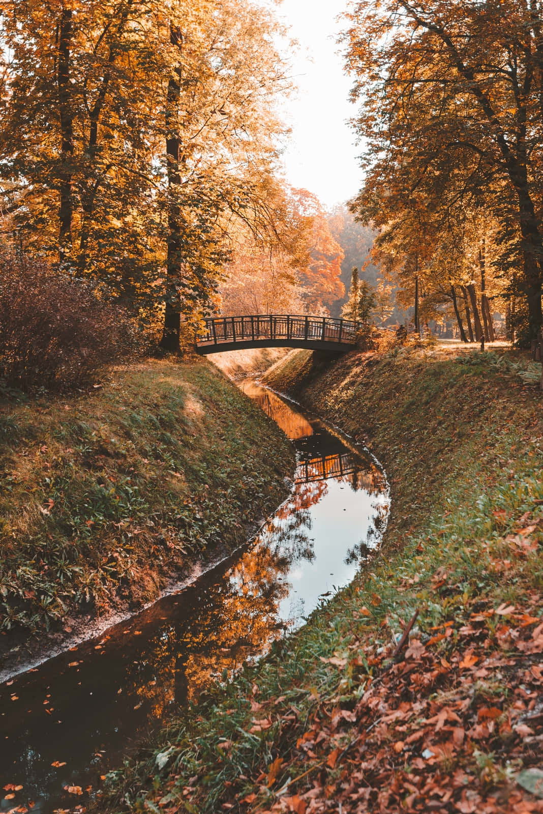Short Bridge With Beautiful Fall Trees Pictures 1068 x 1600 Picture