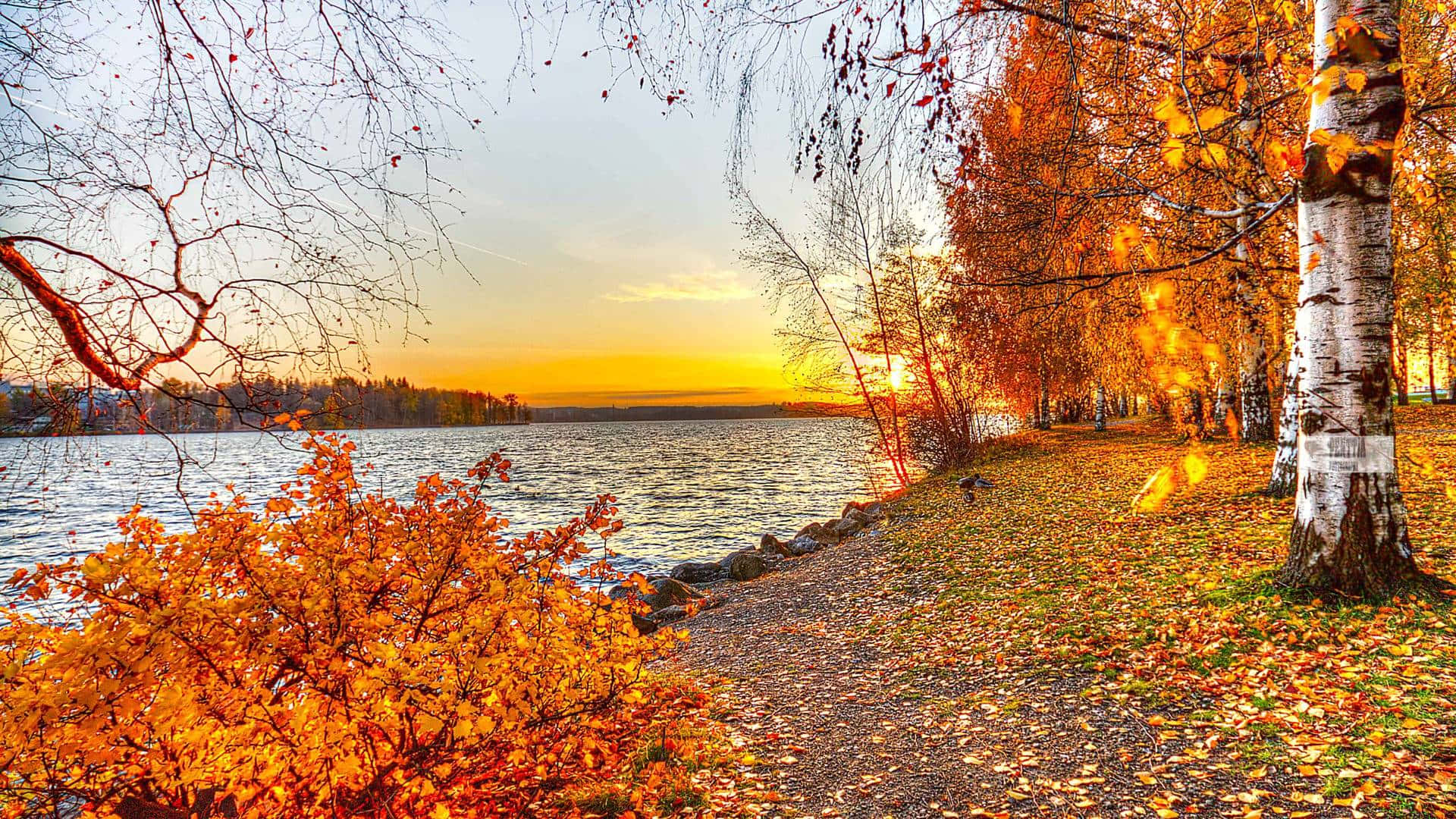 An idyllic fall landscape by the lake Wallpaper