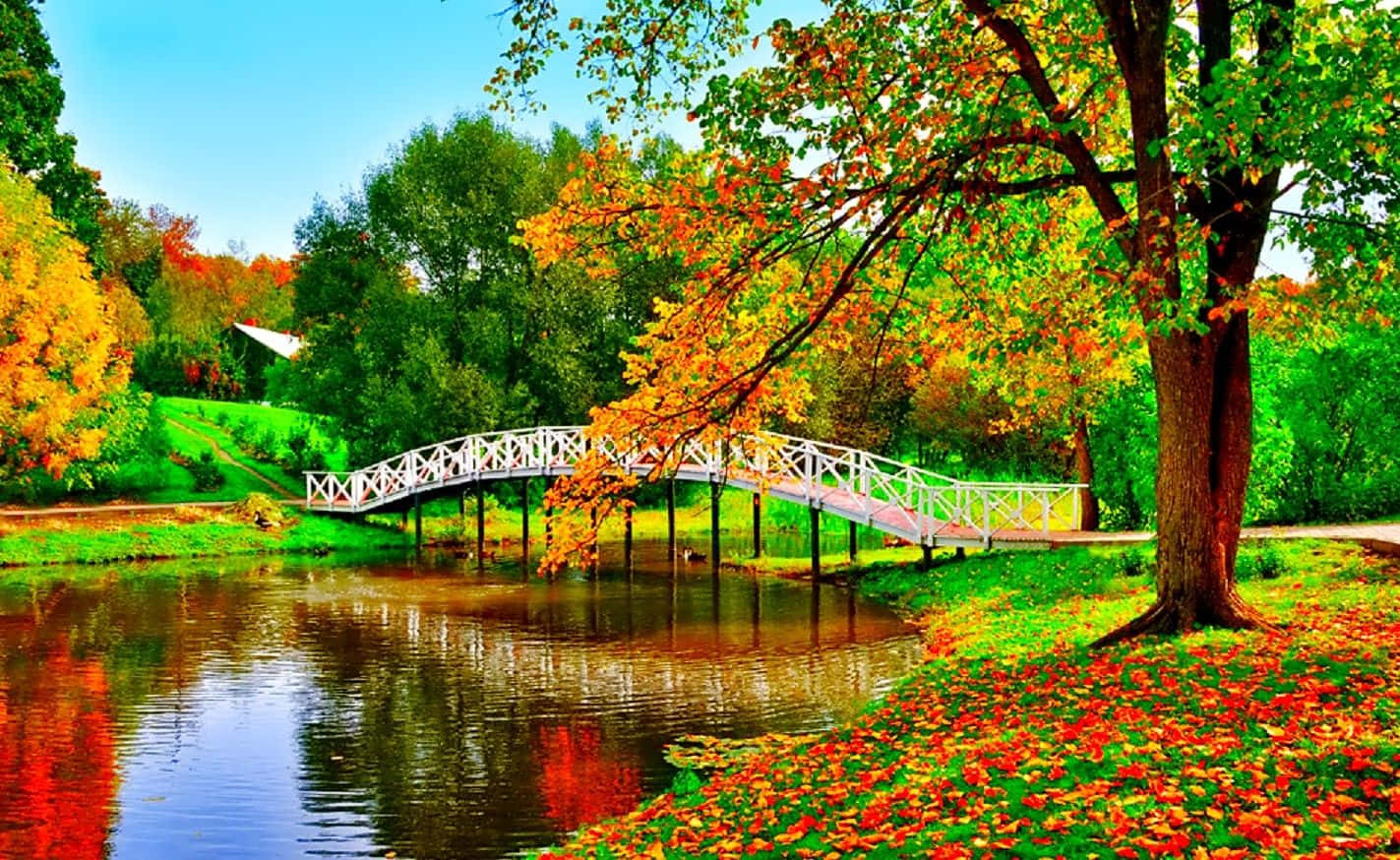 En bro over en dam med farvede blade Wallpaper