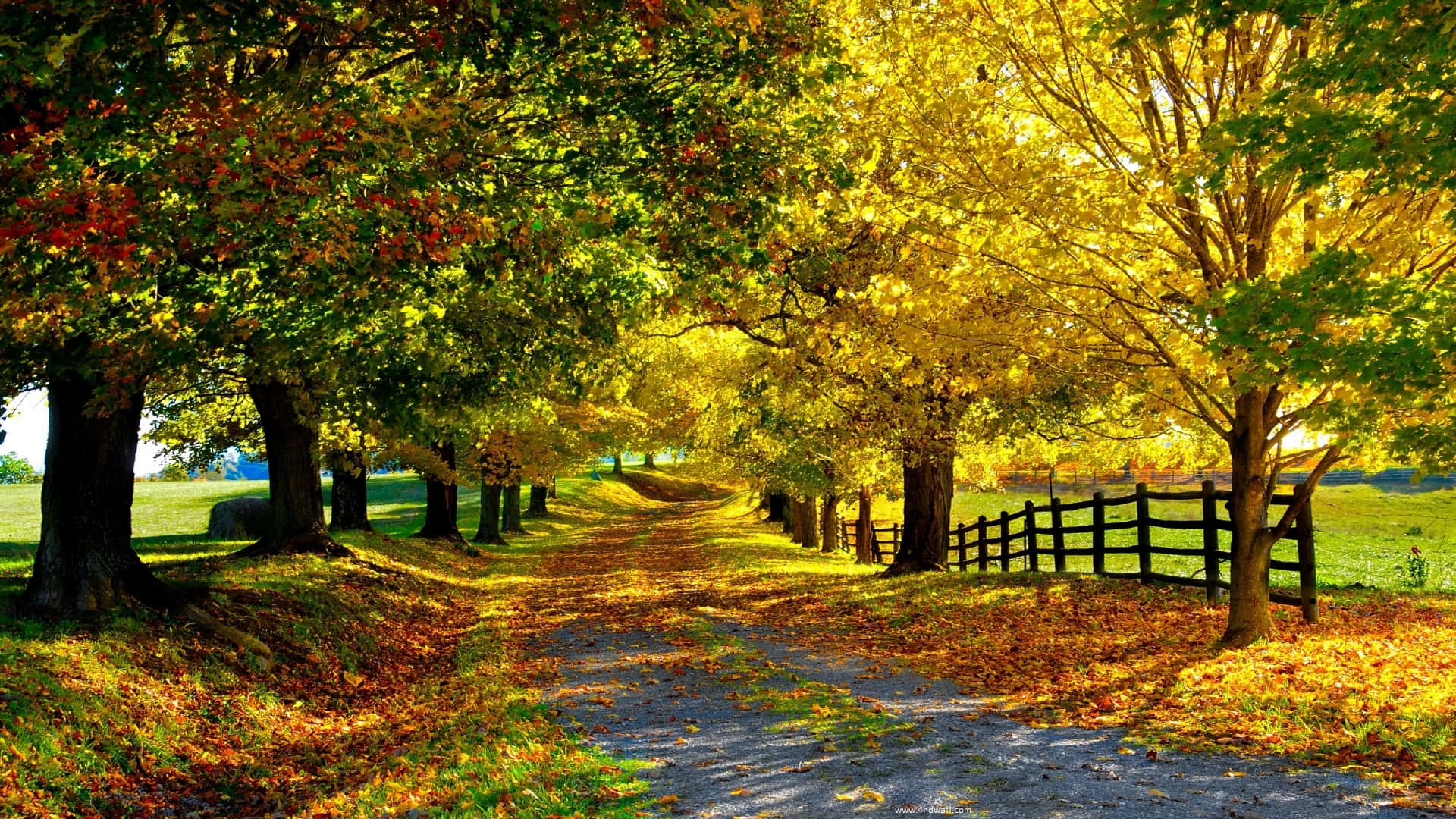 Park Road Beautiful Fall Pictures 1920 x 1080 Picture