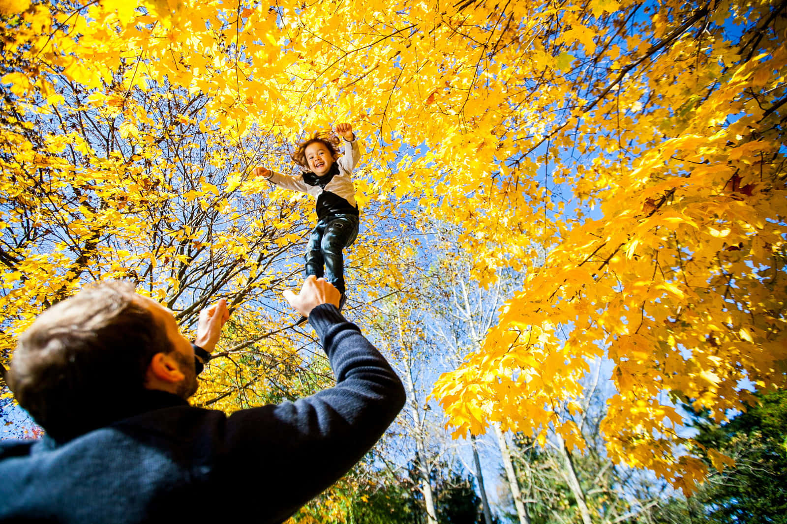 Father Daughter Beautiful Fall Pictures 1600 x 1066 Picture