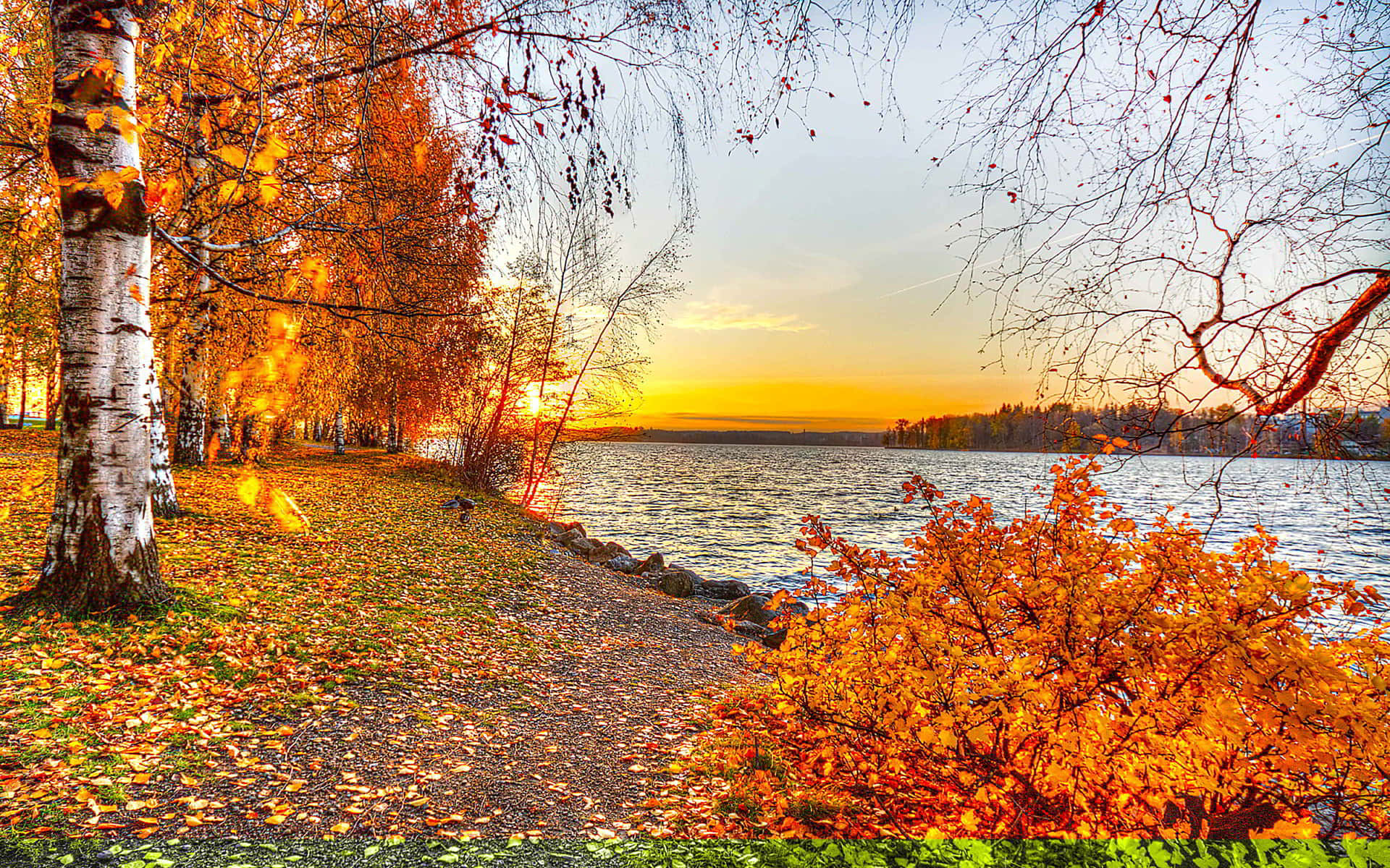 Nyd det smukke efterårs landskab! Wallpaper