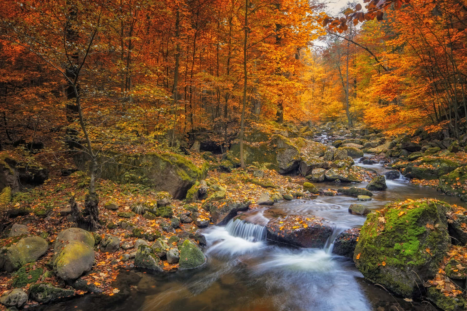 Rocky River Beautiful Fall Trees Pictures 2048 x 1365 Picture