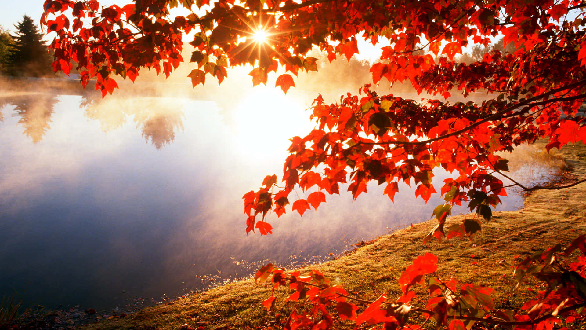 Download Beautiful Fall Pictures 