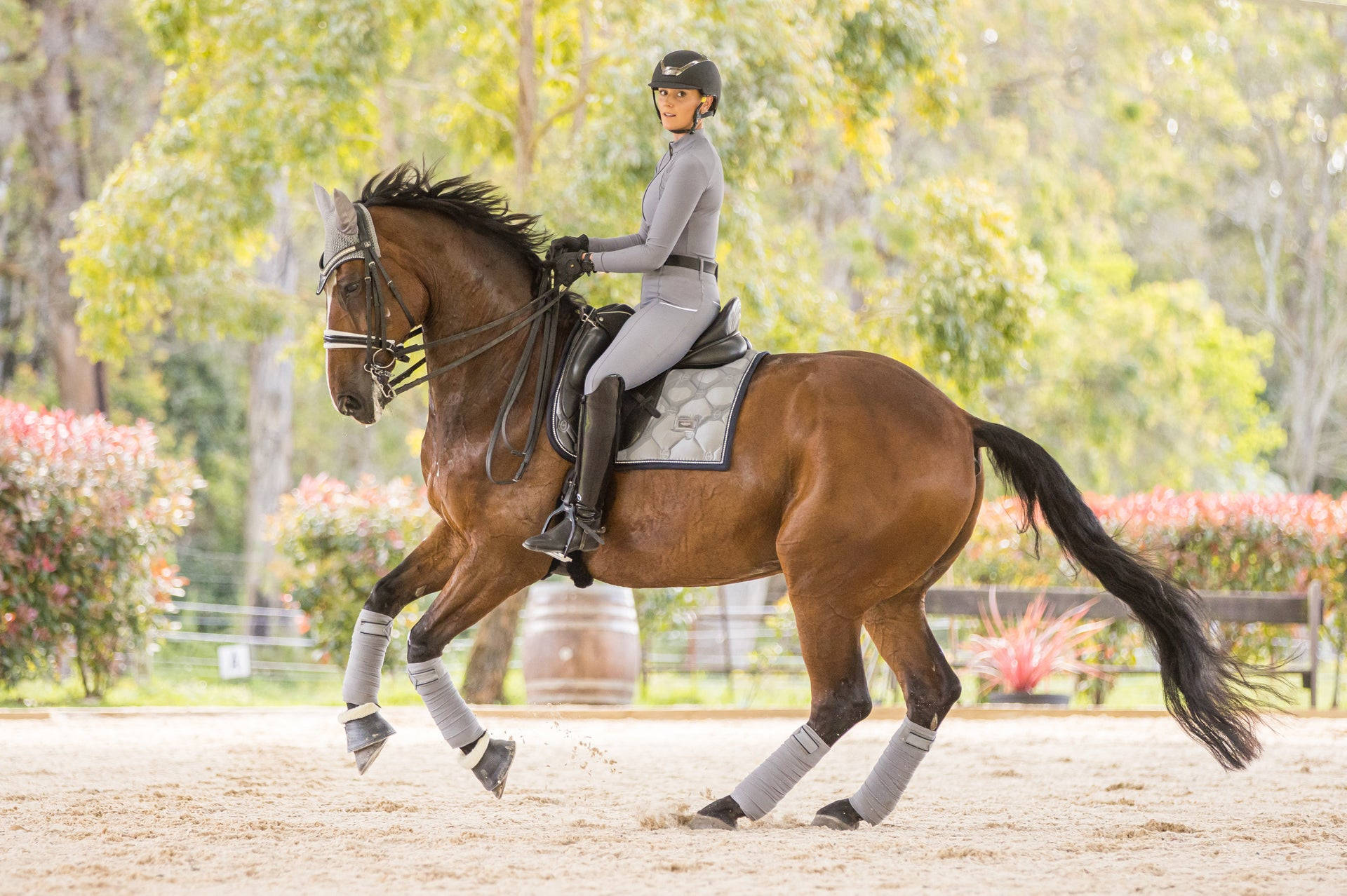 Beautiful Female Equestrian Riding Her Horse Wallpaper