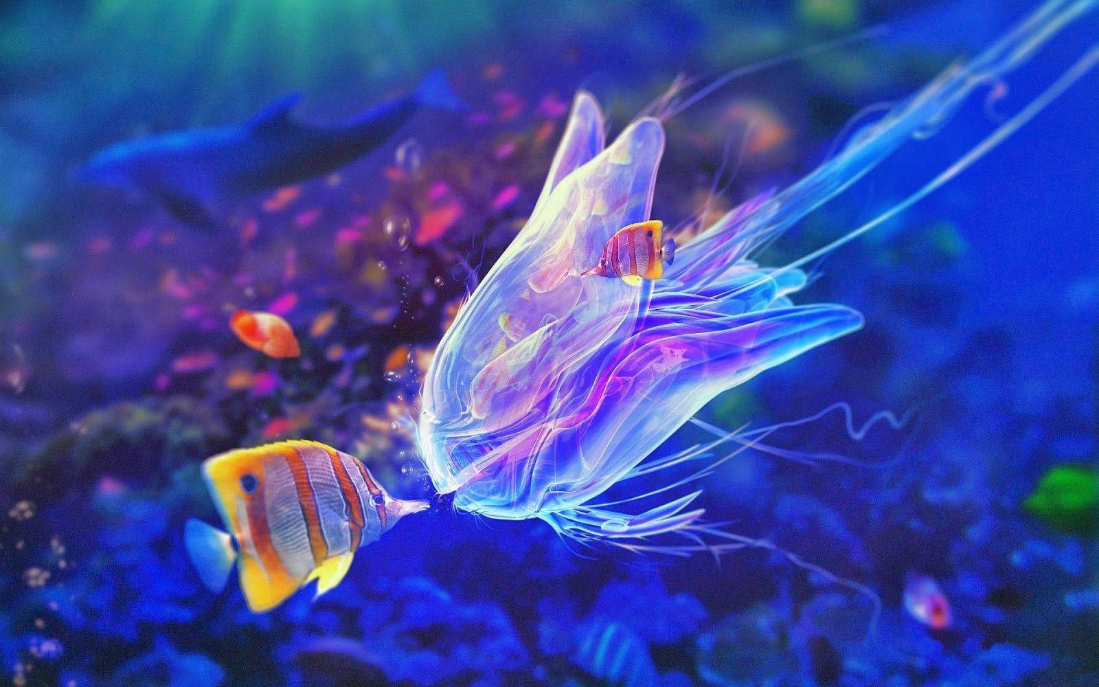 Beautiful Fish And Jellyfish