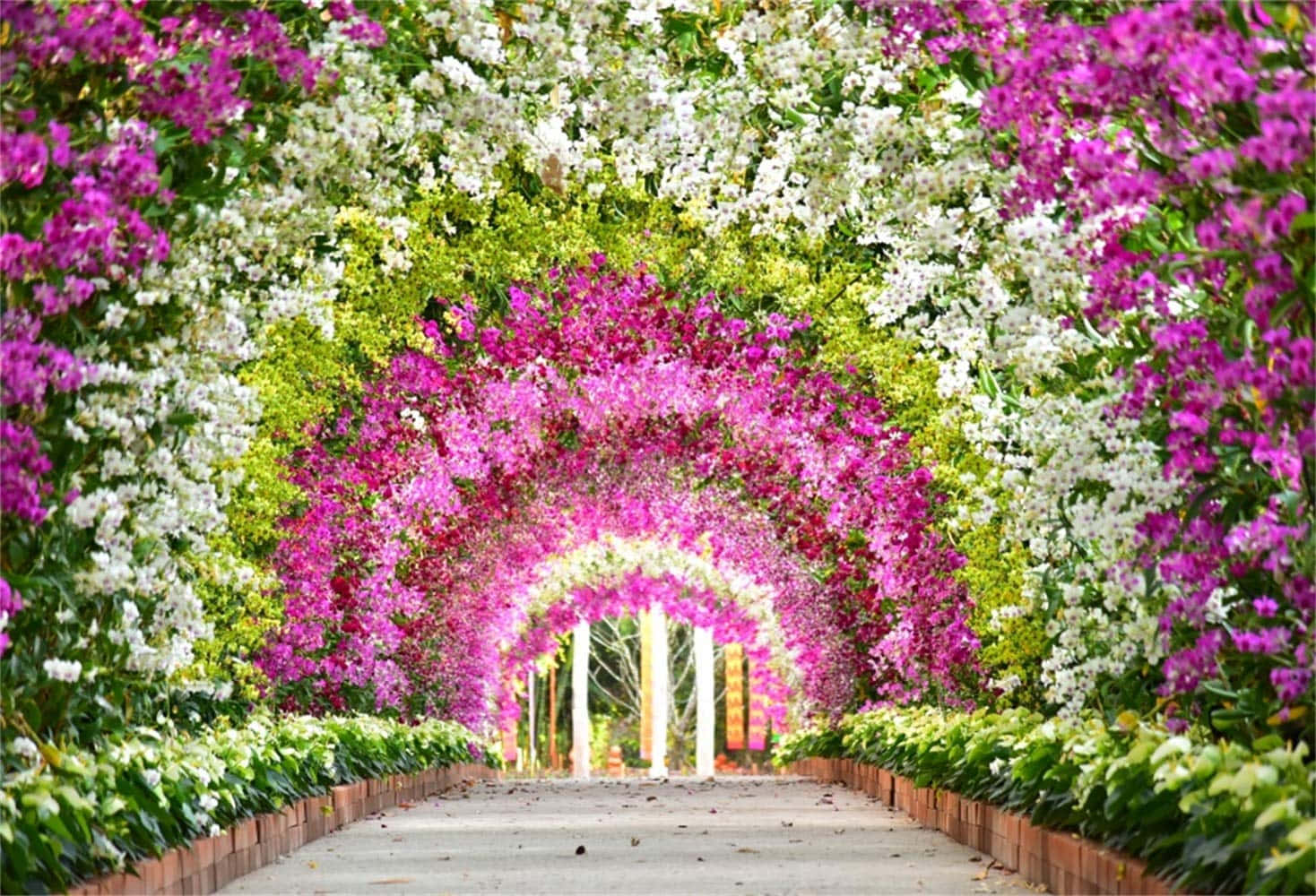 Unveiling Nature's Beauty: A Stunning Floral Display