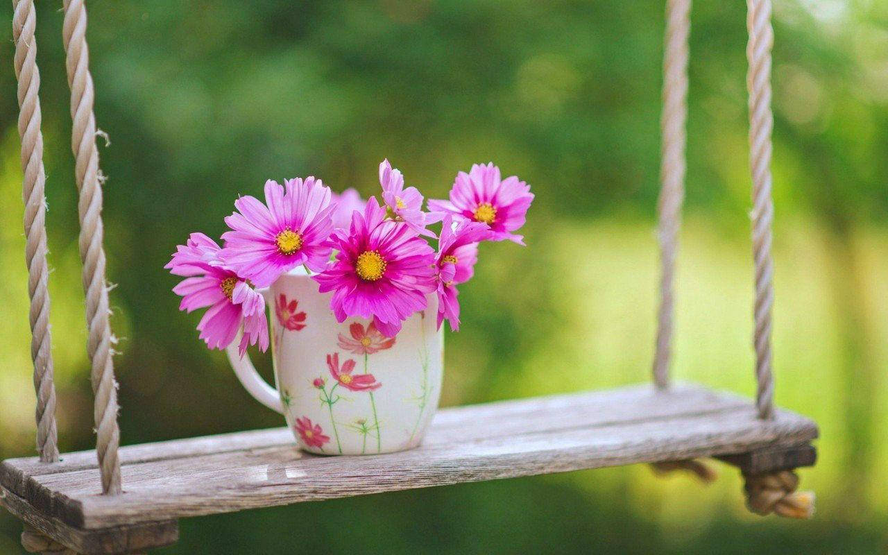 Beautiful Flower In Mug On Swing Picture