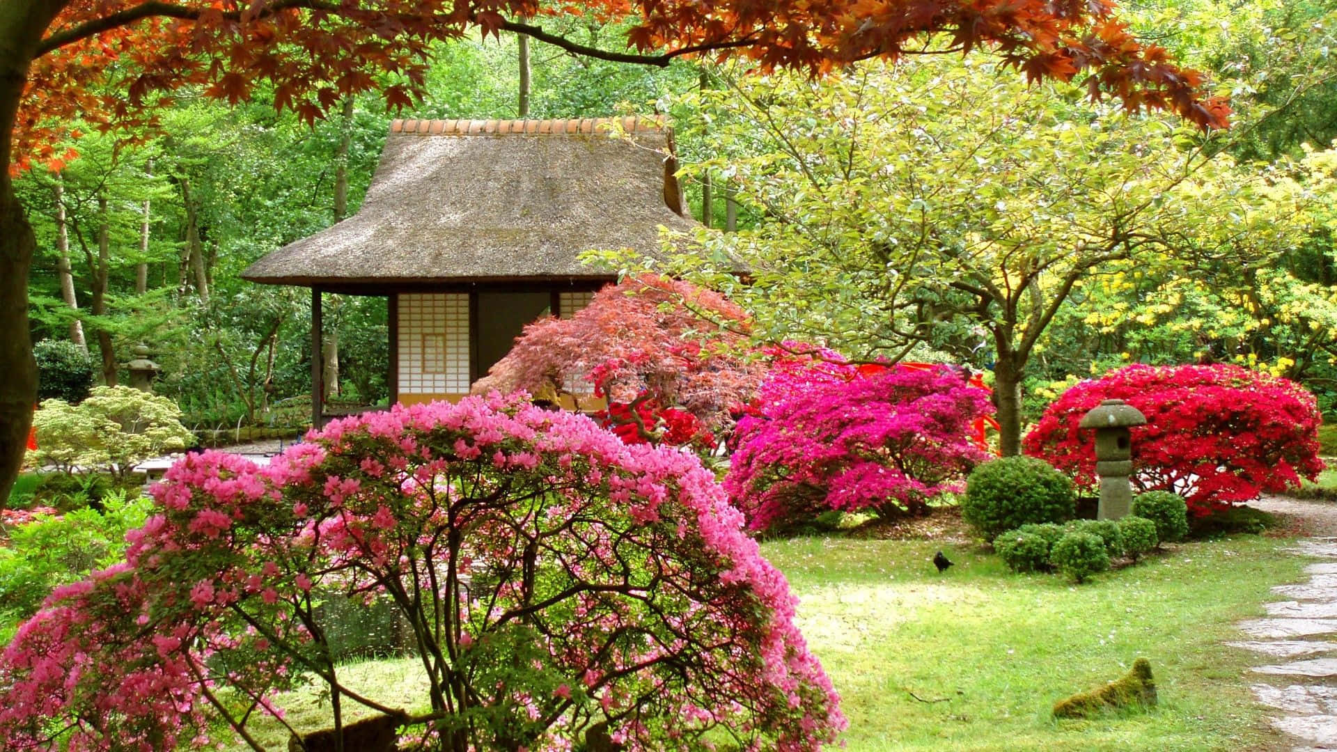 Enjapansk Trädgård Med Färgglada Blommor Och Träd