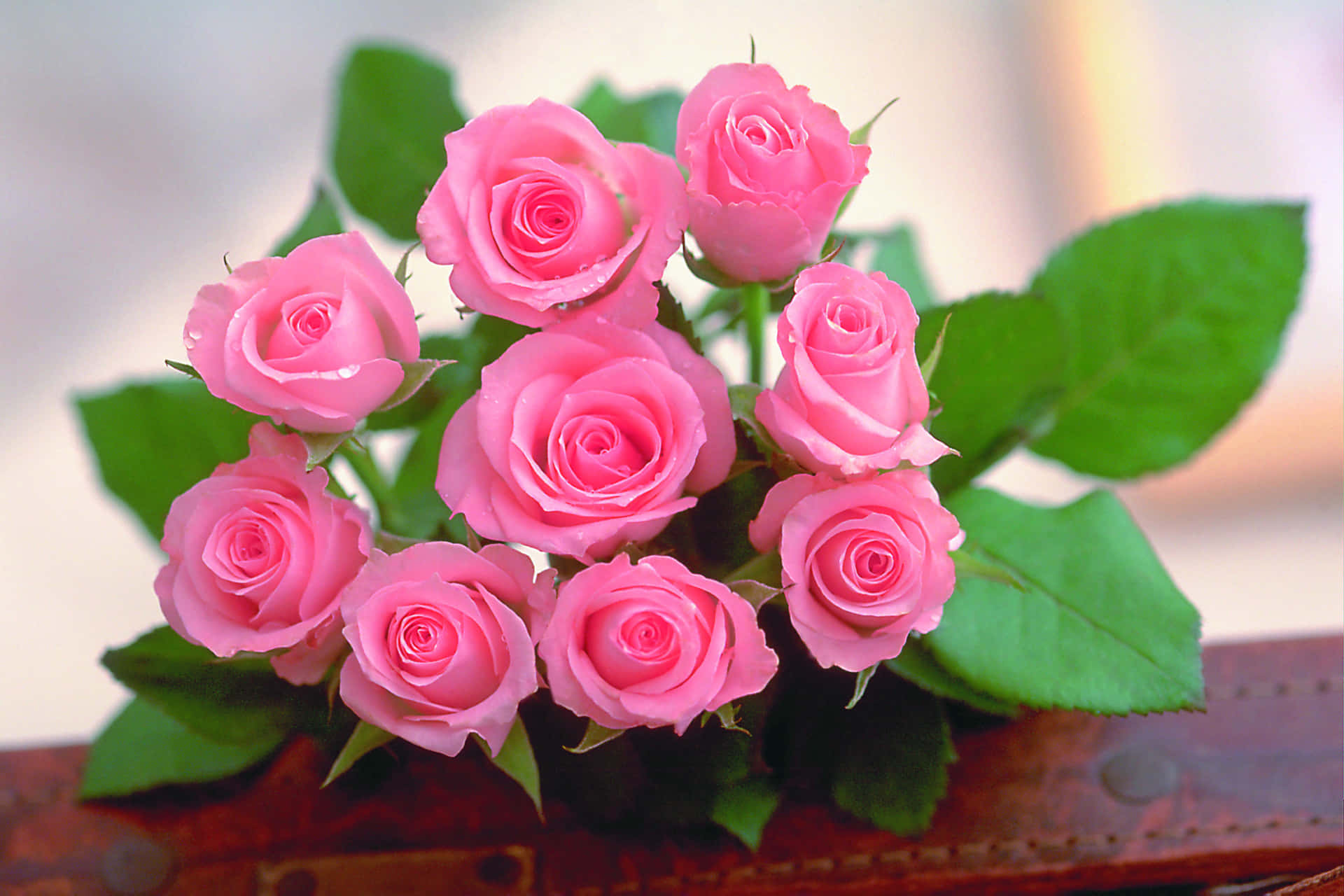 Einezarte Und Lebendige Rosa Blume.