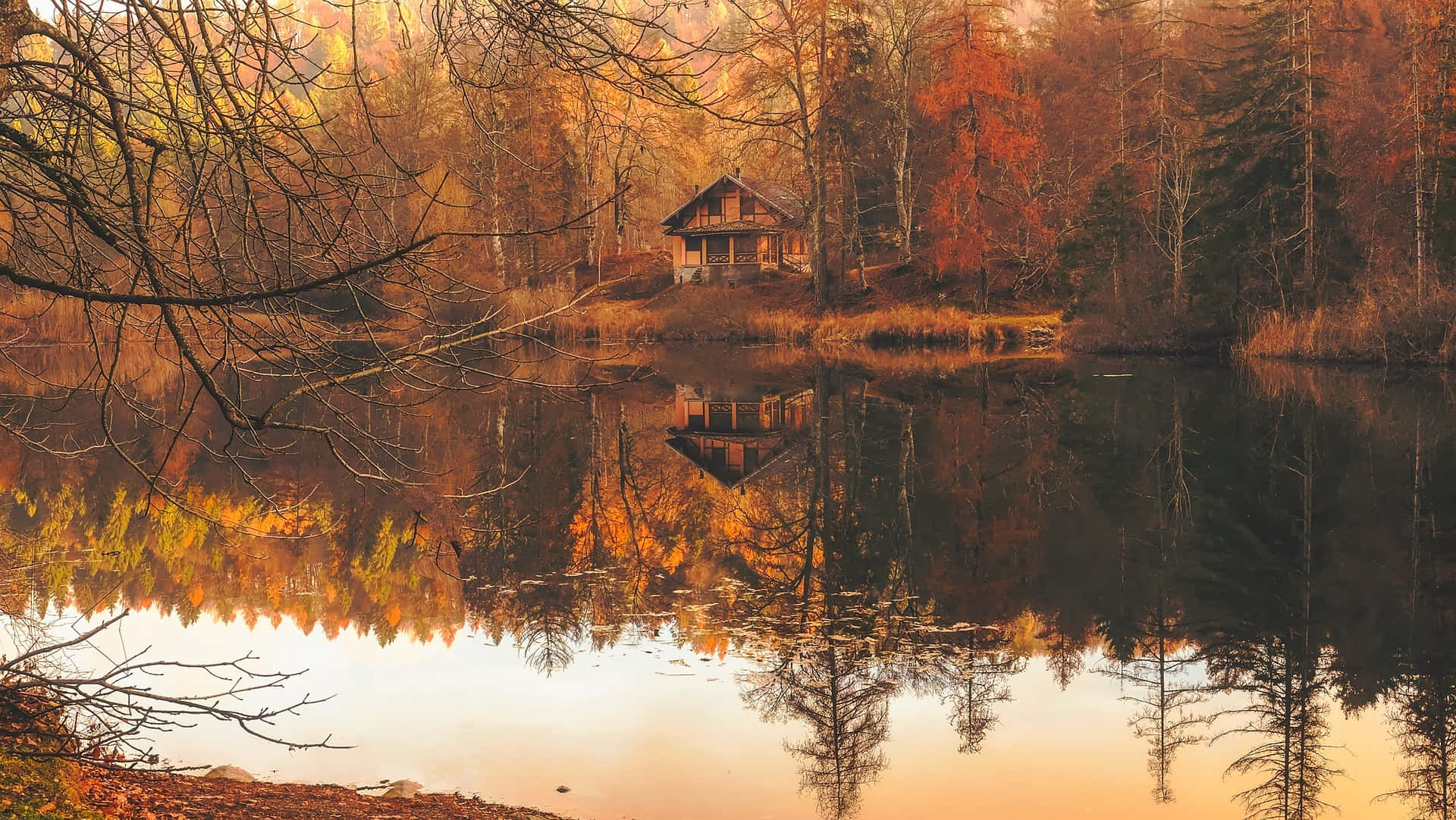 Autumn Cabin In The Beautiful Forest Picture