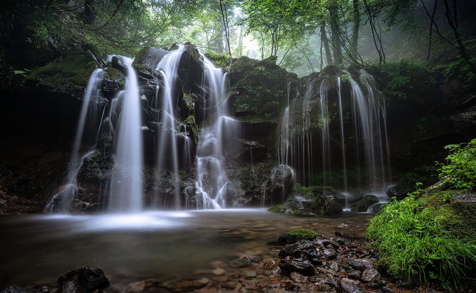 Waterfalls In The Beautiful Forest Picture