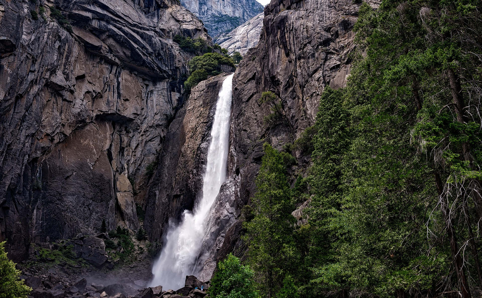 Beautiful Yosemite Falls In The Forest Picture