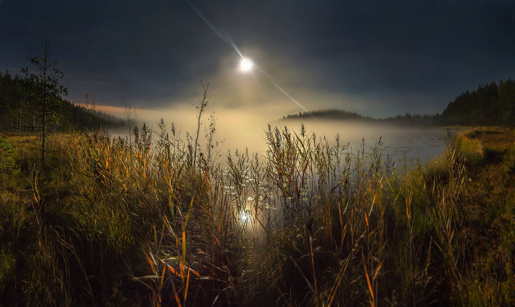 Beautiful Full Moon Over Foggy Swamp Wallpaper