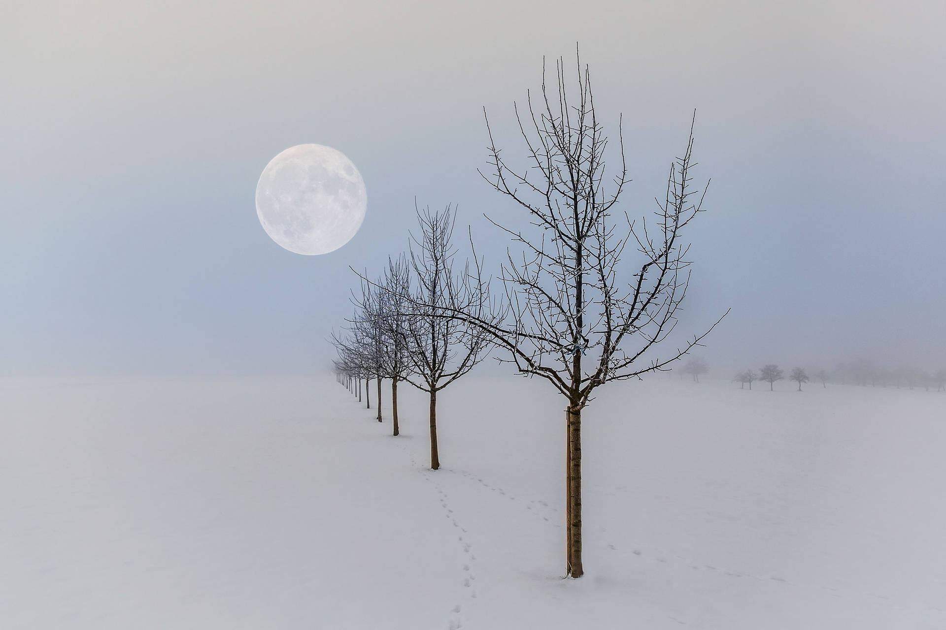 Beautiful Full Moon Winter Scenery Wallpaper