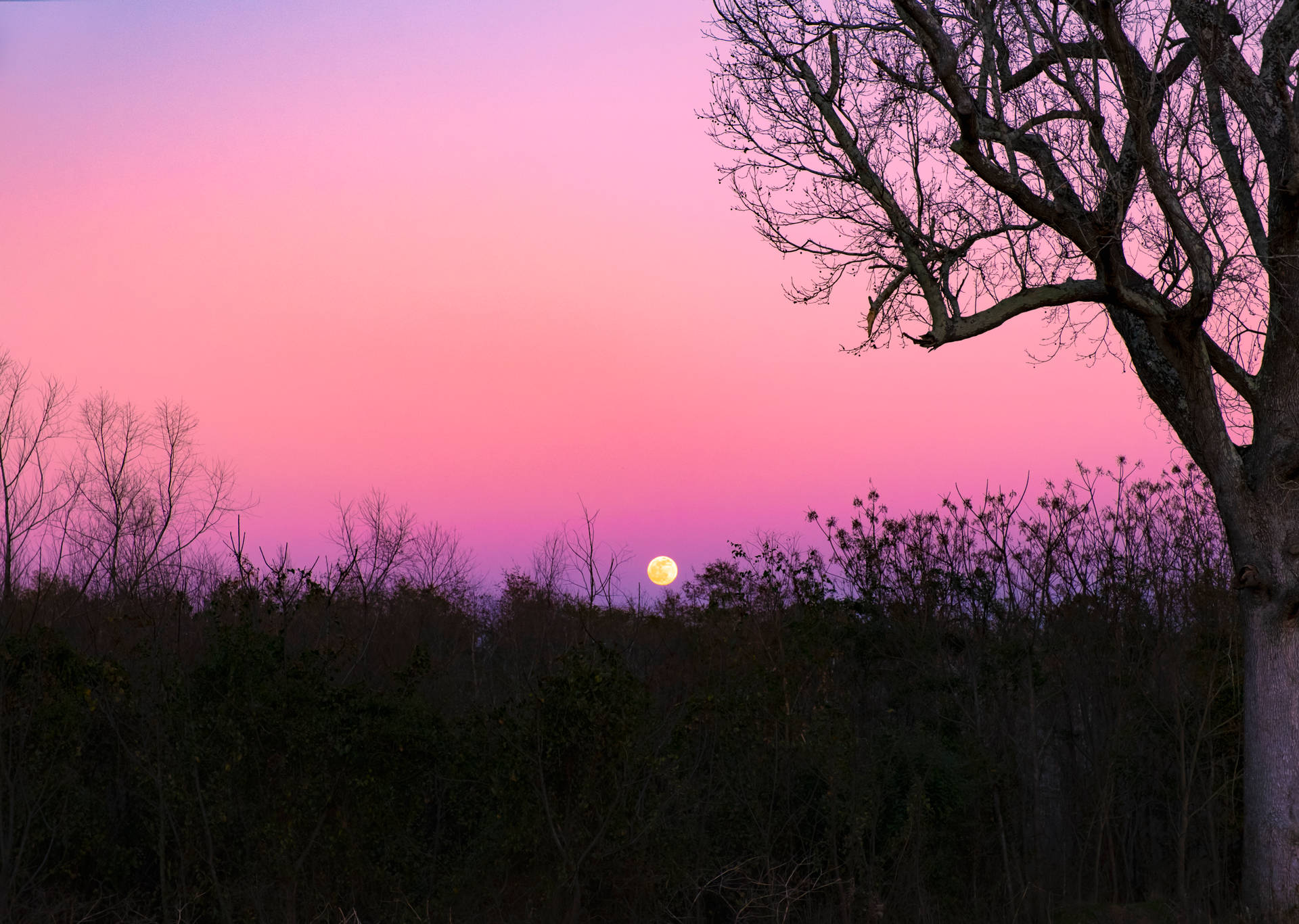 Beautiful Full Moon With Pink Sky Wallpaper