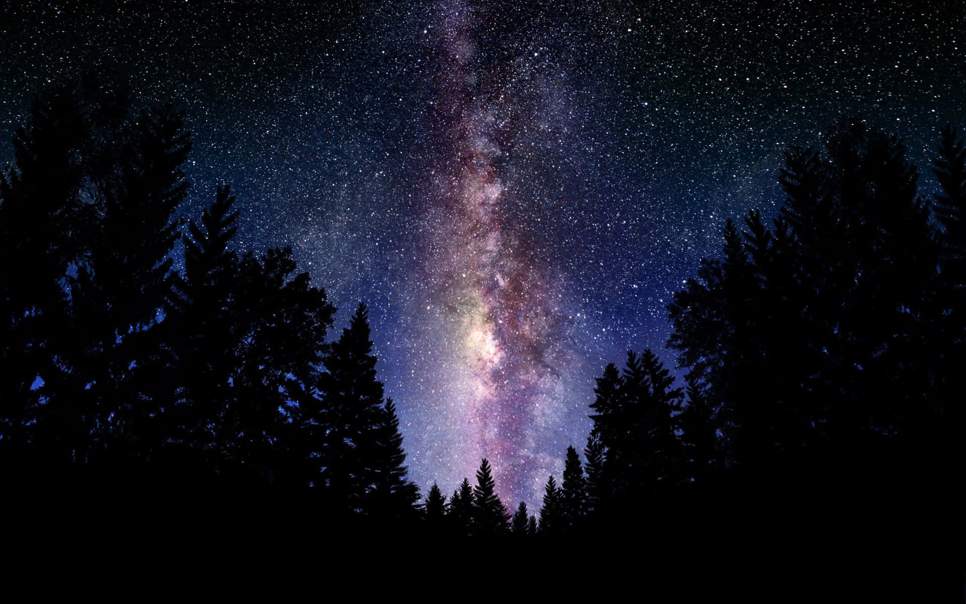 Beautiful Galaxy In A Dark Forest Wallpaper