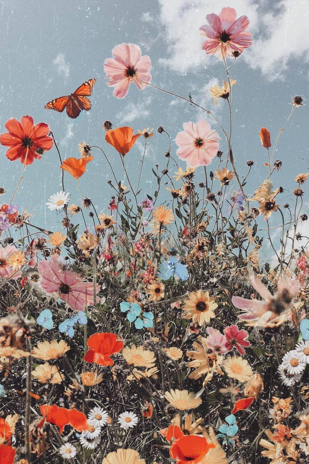 Beautiful Garden And Flowers Boho iPhone Wallpaper