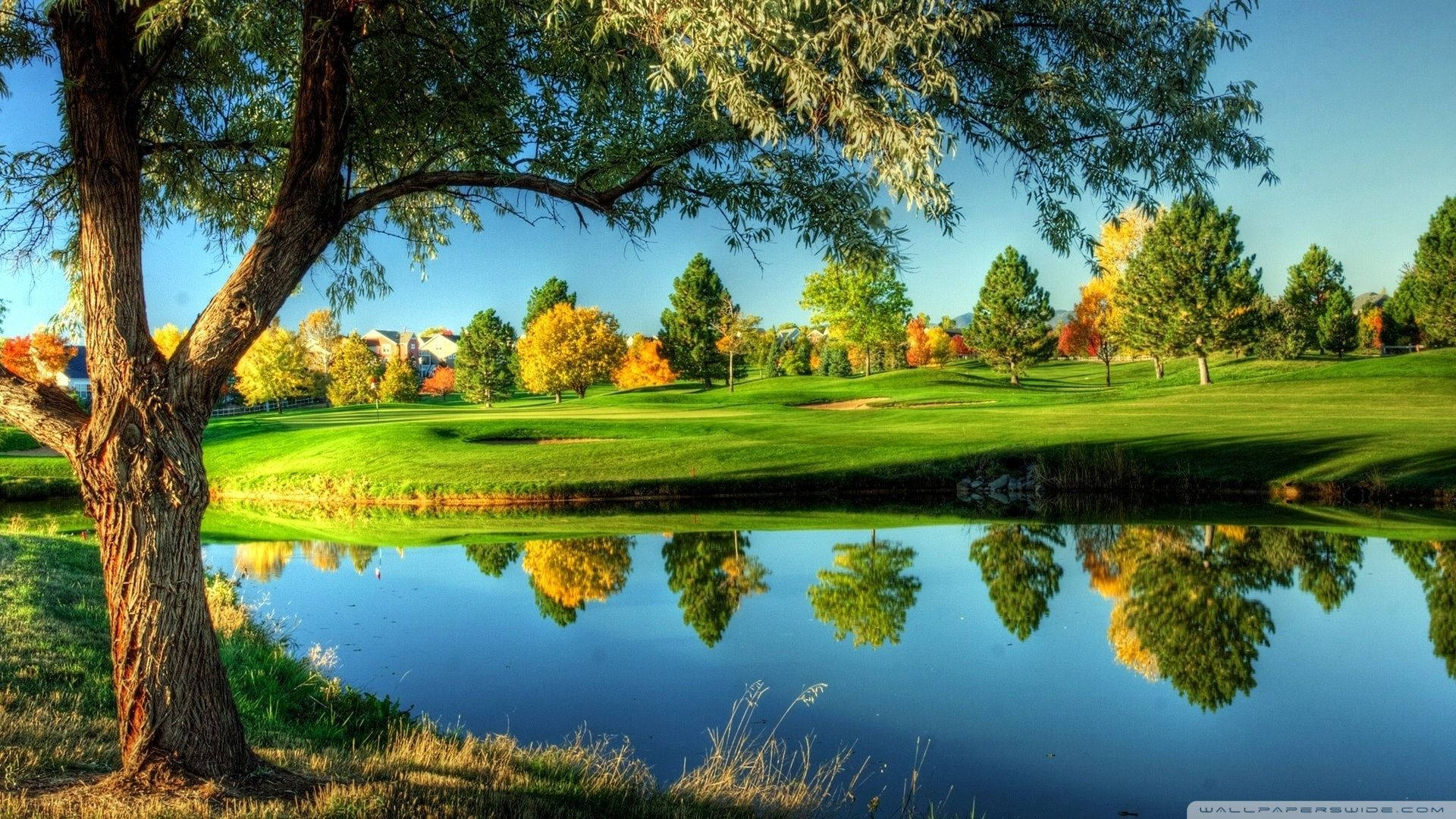Beautiful Golf Landscape Hd