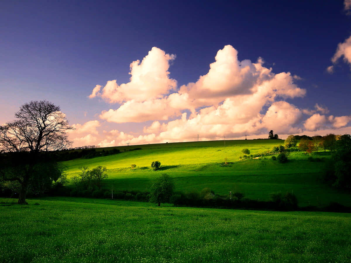 Beautiful Grasslands In The Countryside Background