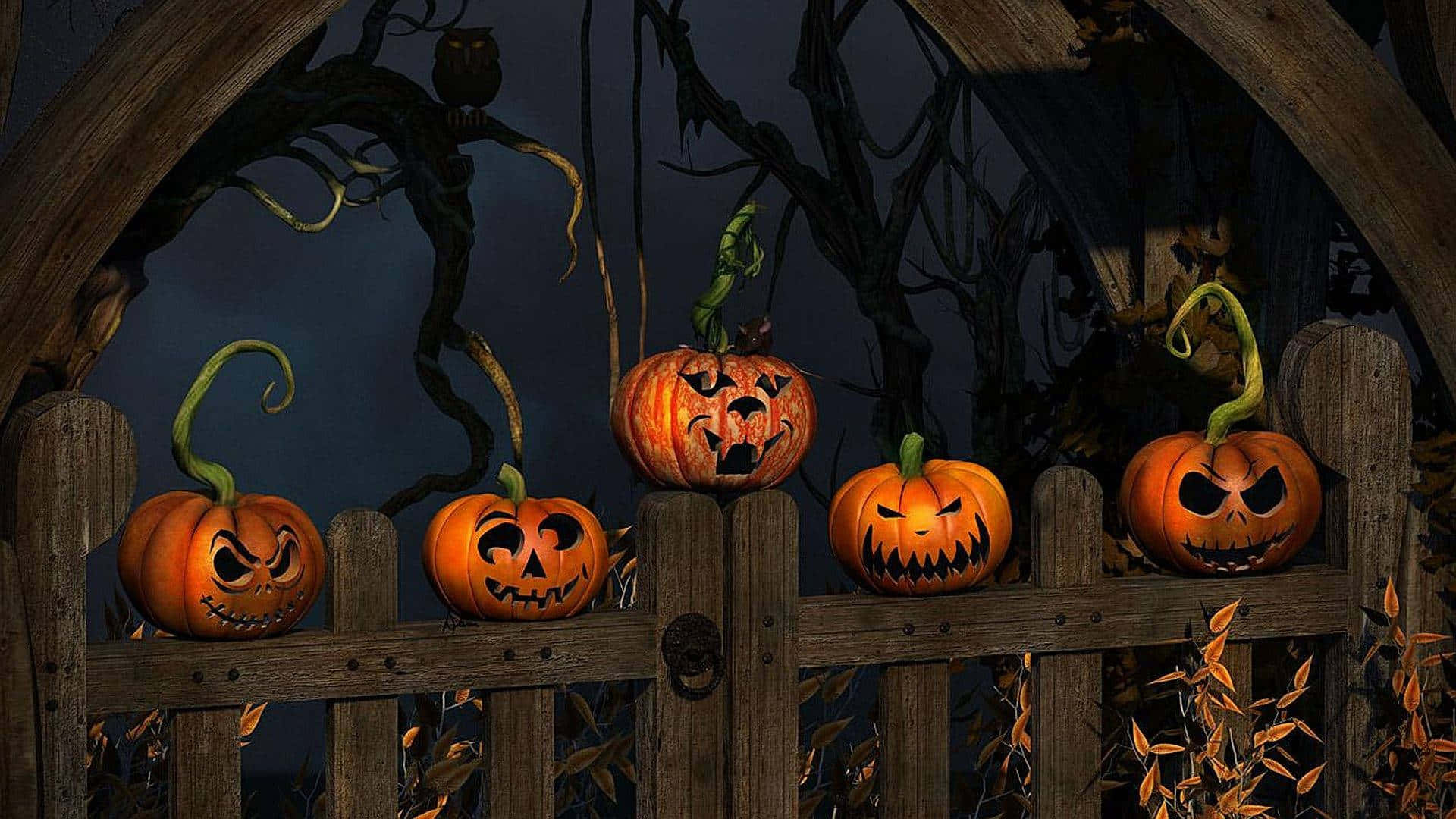 Hermosascalabazas De Halloween En Una Cerca. Fondo de pantalla