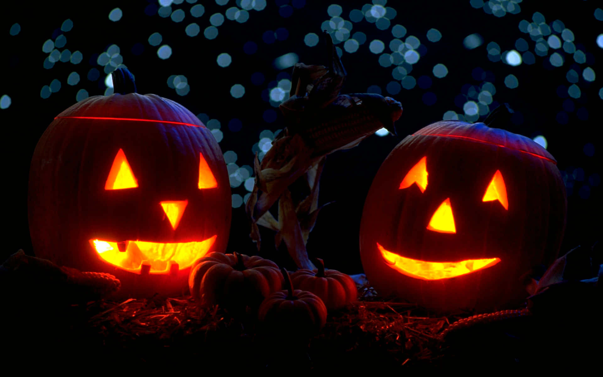 Lucesde Bokeh Detrás De Hermosas Calabazas De Halloween. Fondo de pantalla