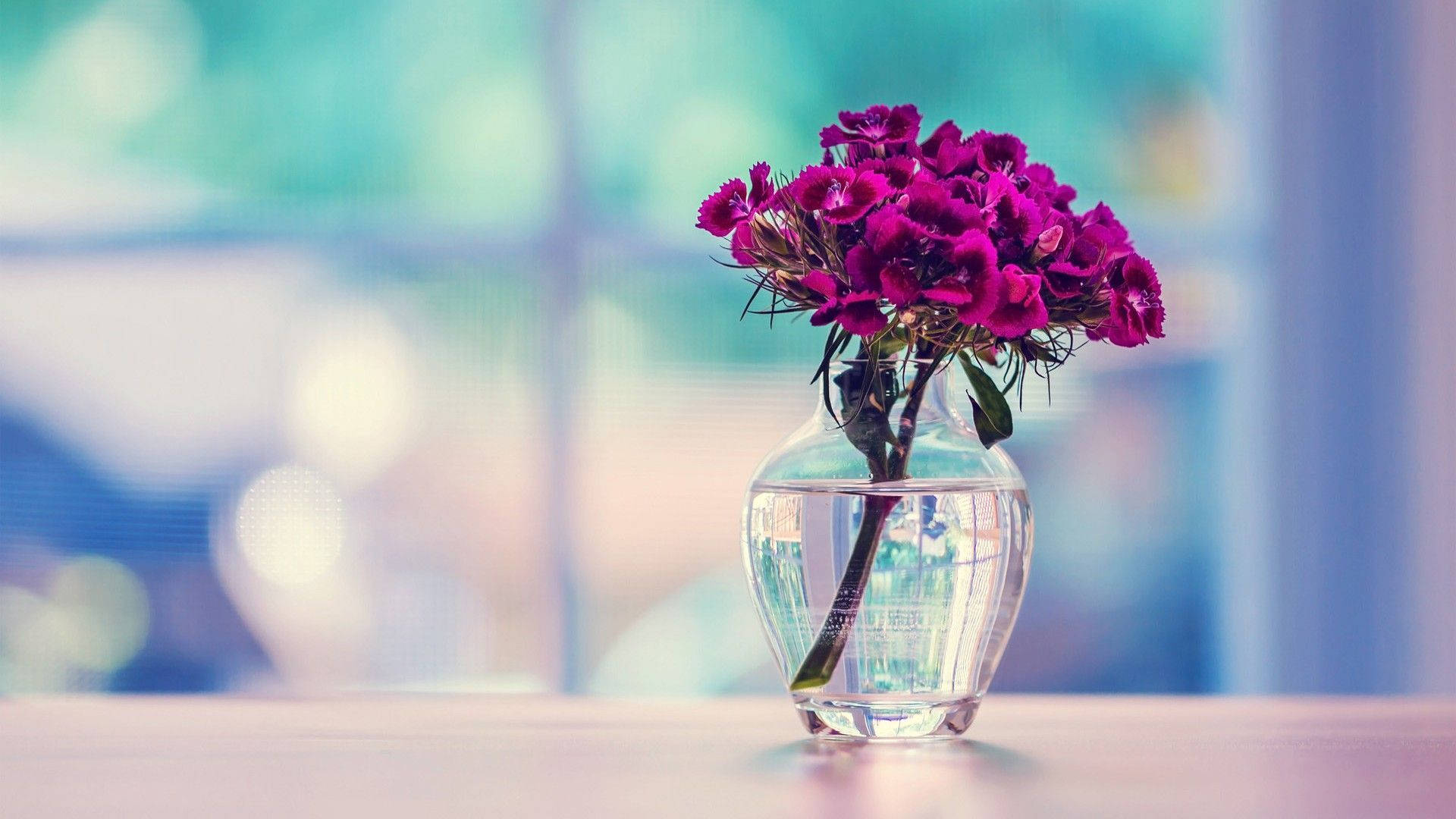Beautiful Hd Flowers In A Vase