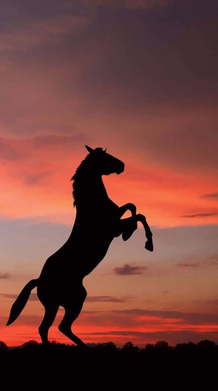 Oplev Majestæten af ​​denne smukke hest mod et naturligt landskab! Wallpaper