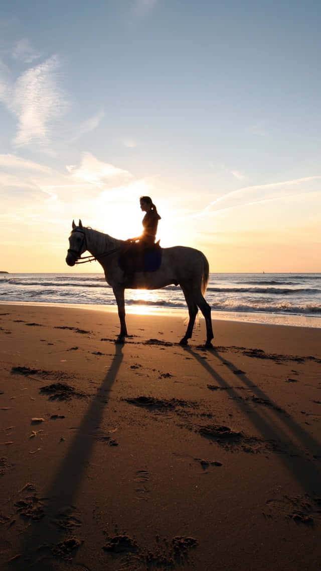 Eineperson Reitet Auf Einem Pferd Am Strand. Wallpaper