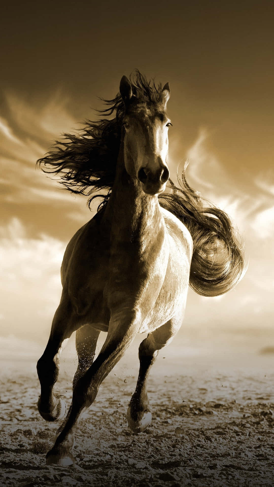 Titolobellezza Maestosa: Un Cavallo Squisito Nella Splendore Della Natura
