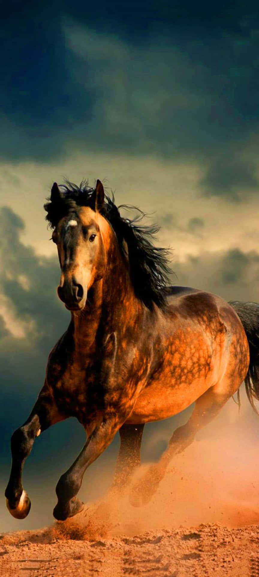 Bellissimaimmagine Di Un Cavallo Che Corre Nella Sabbia.