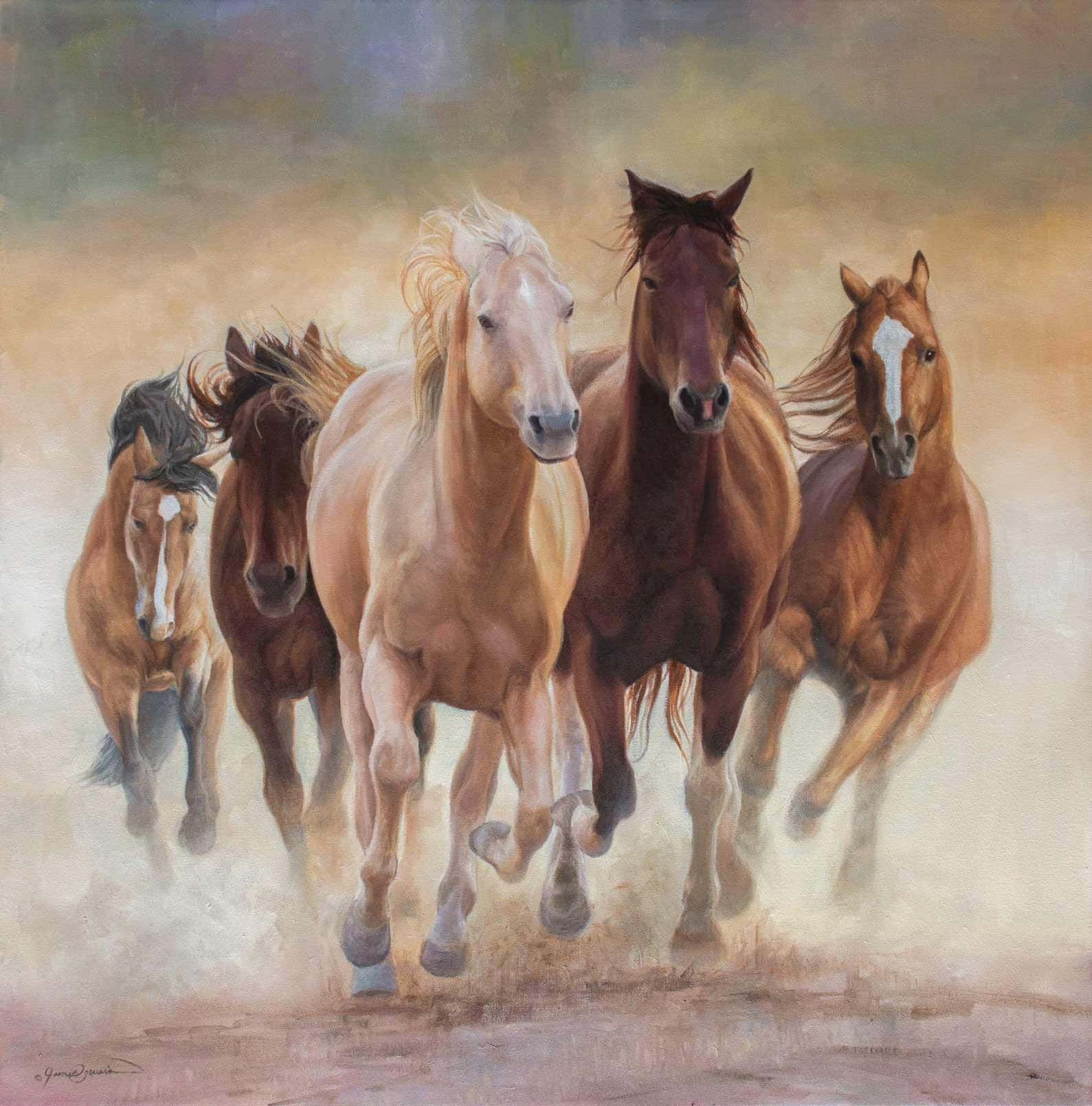 Group Of Beautiful Horse Animals Picture