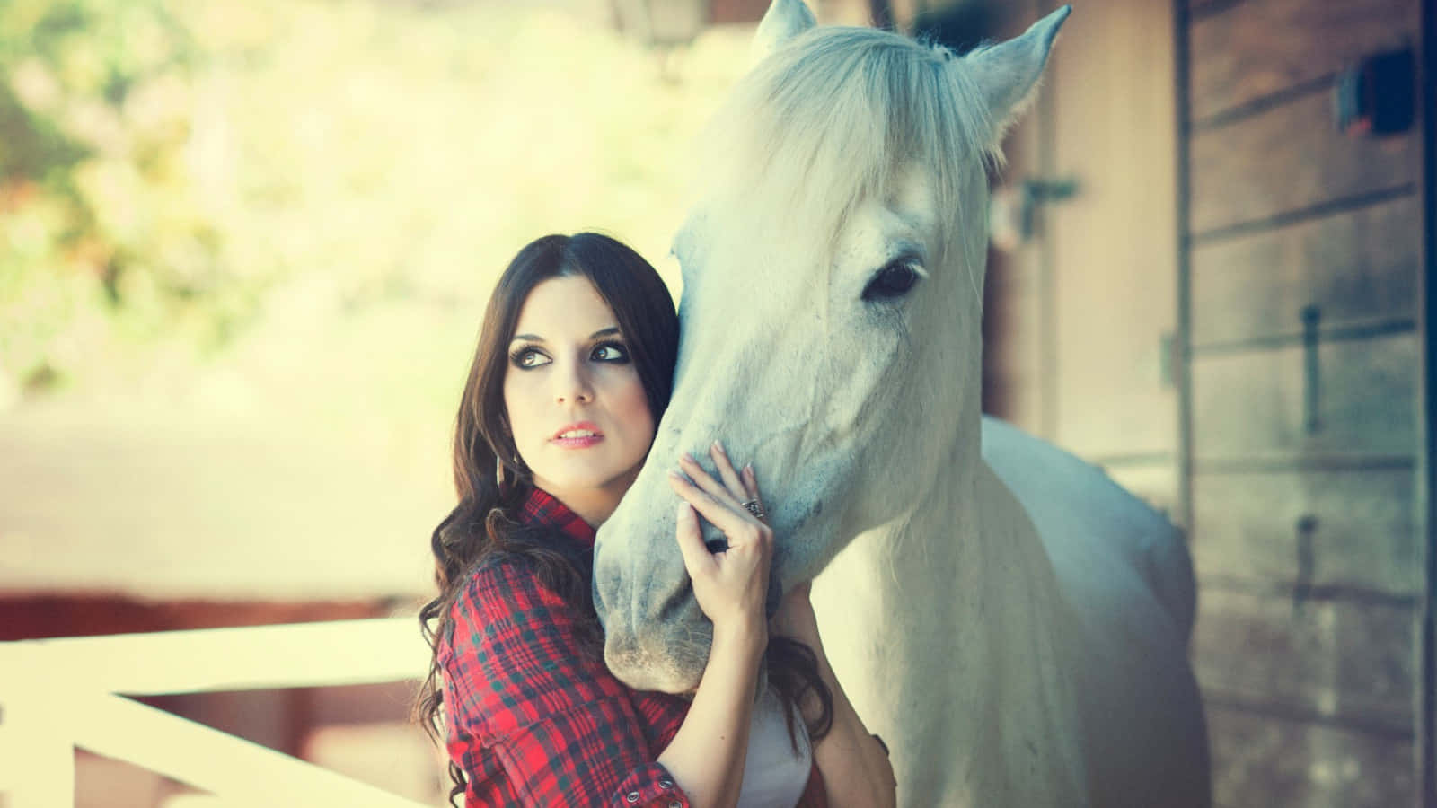Woman Sporting A Beautiful Horse Picture