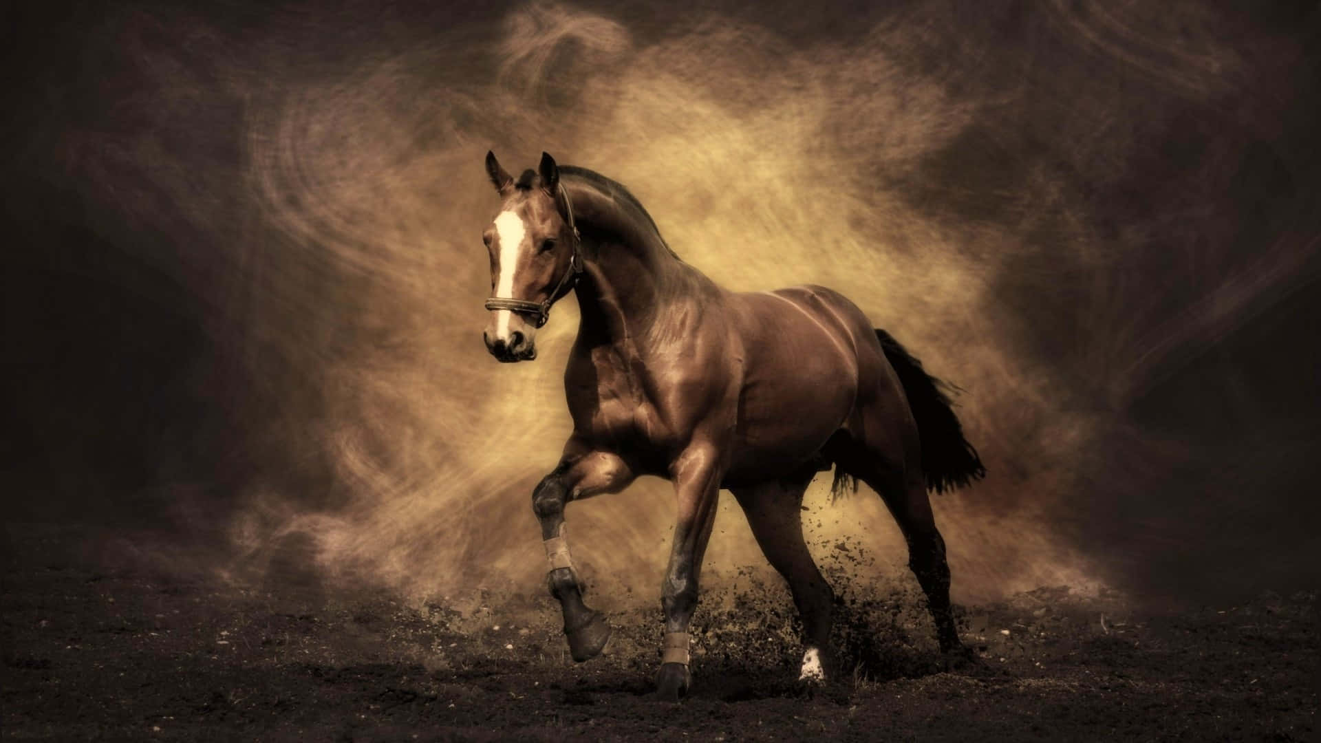 Beautiful Smoky Horse Picture
