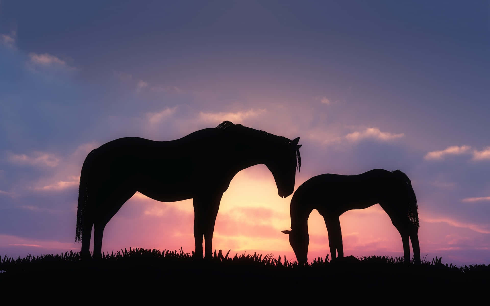 Beautiful Silhouettes Of A Horse Picture