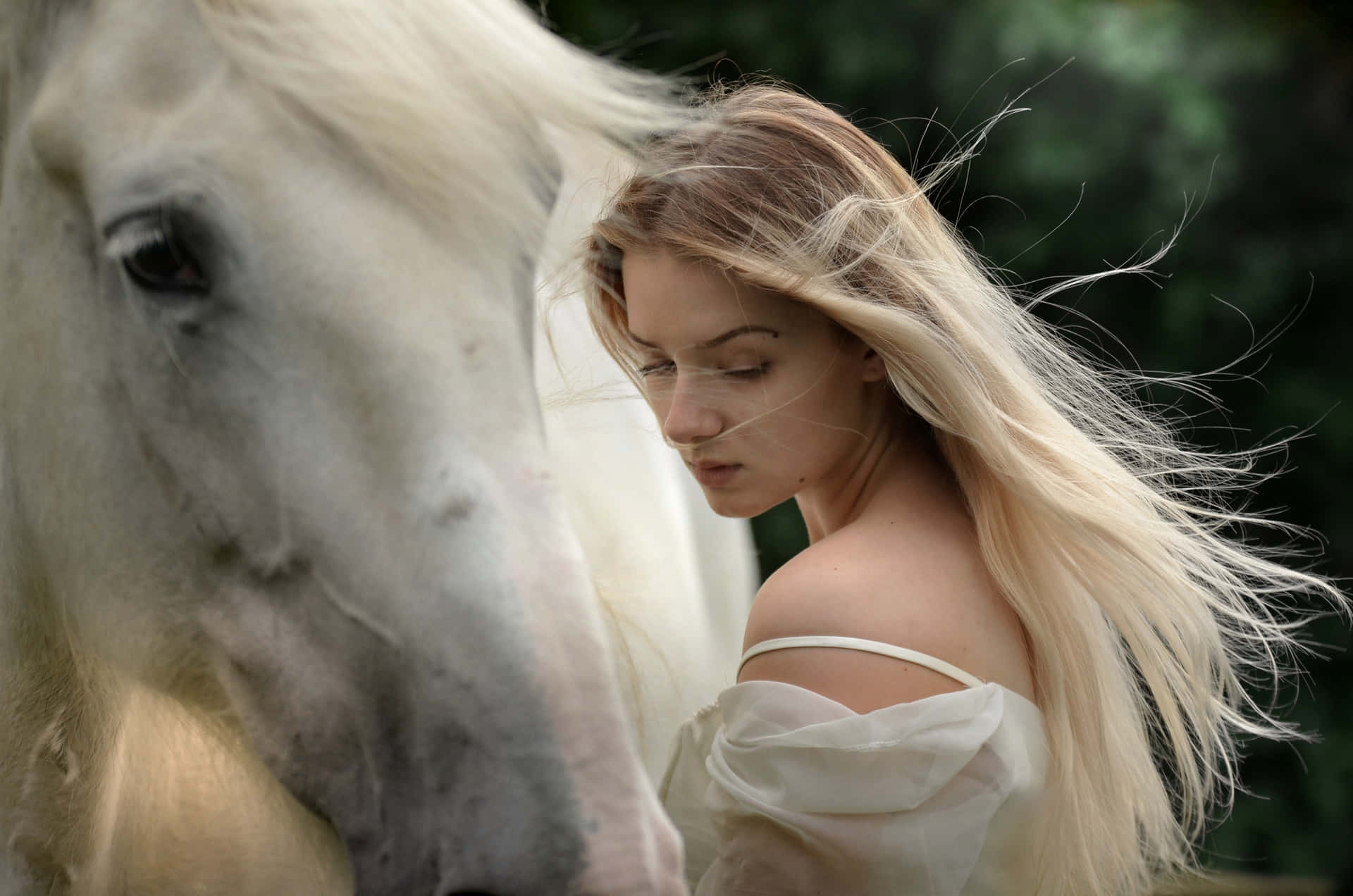 Blonde Girl And Beautiful Horse Picture